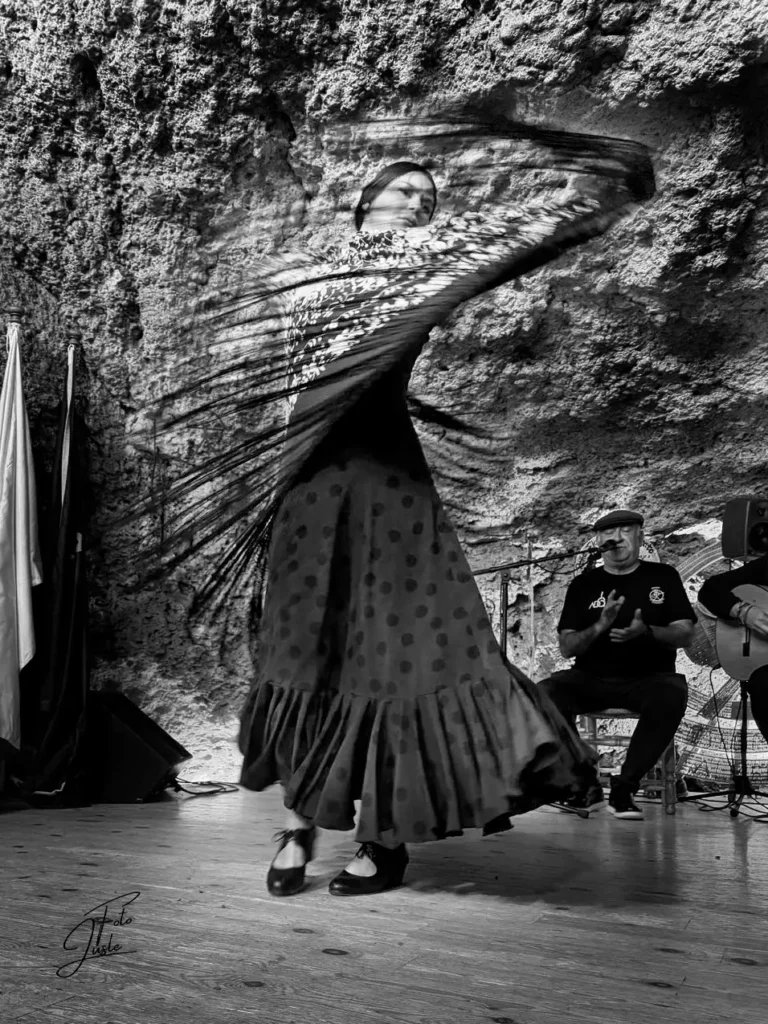 FLAMENCO ALMERÍA