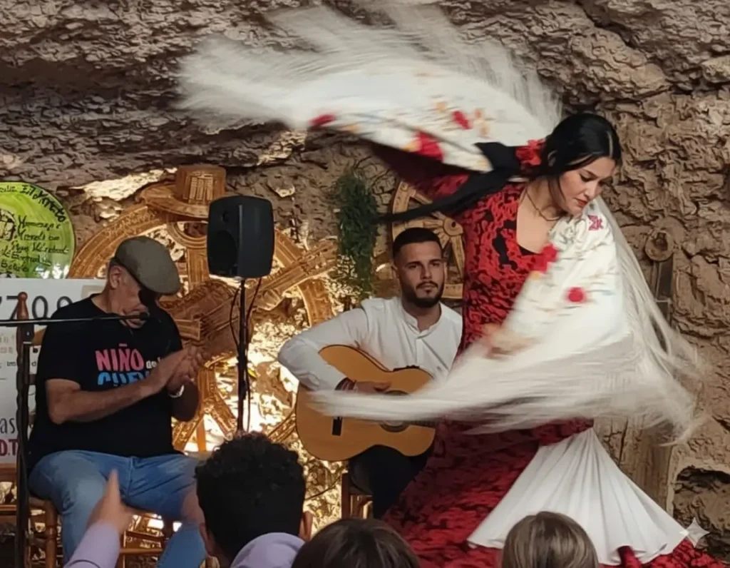 EXCURSIÓN FLAMENCO